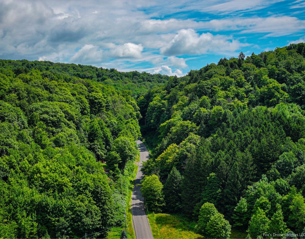 Song Mountain Road