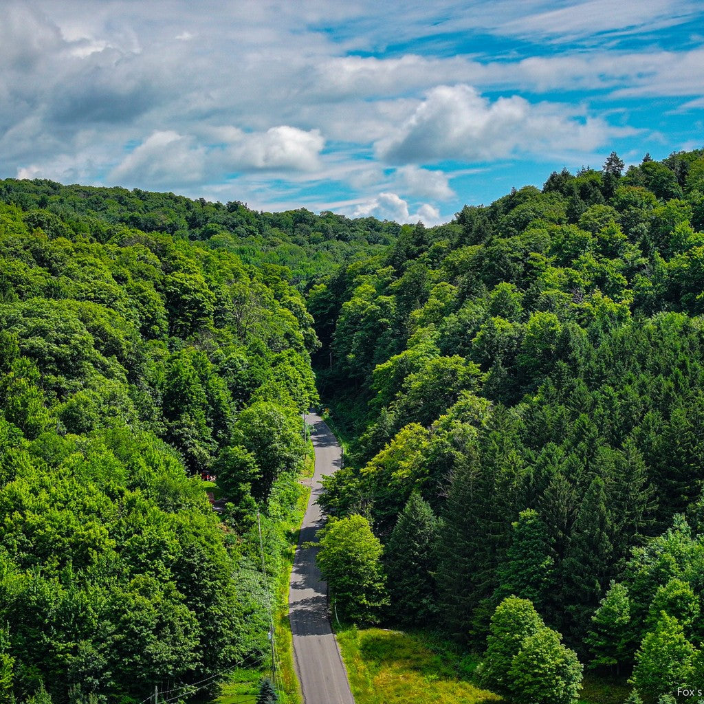 Song Mountain Road