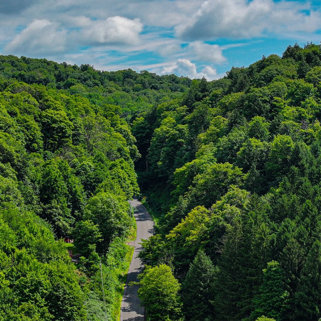 Song Mountain Road