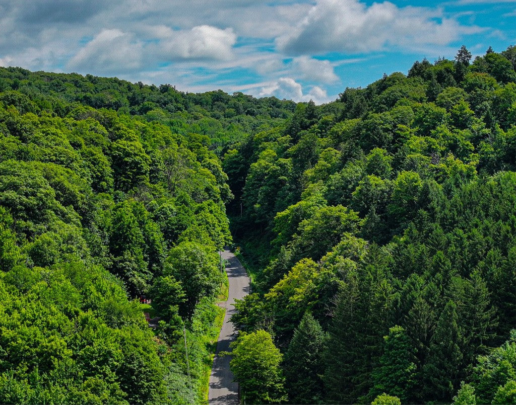 Song Mountain Road